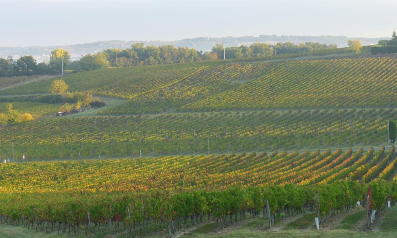 Romantic Gite Nr St Emilion With Private Pool And Views To Die For Pujols  Экстерьер фото