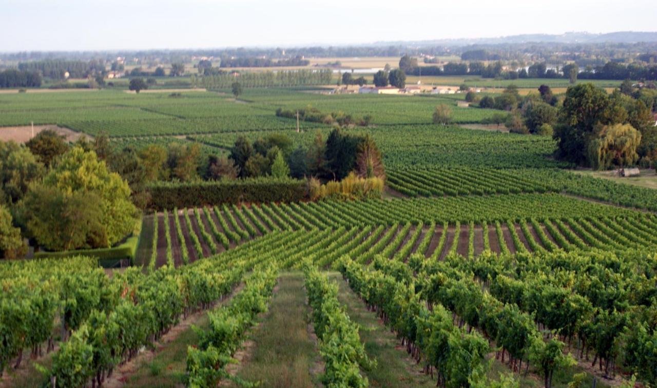 Romantic Gite Nr St Emilion With Private Pool And Views To Die For Pujols  Экстерьер фото